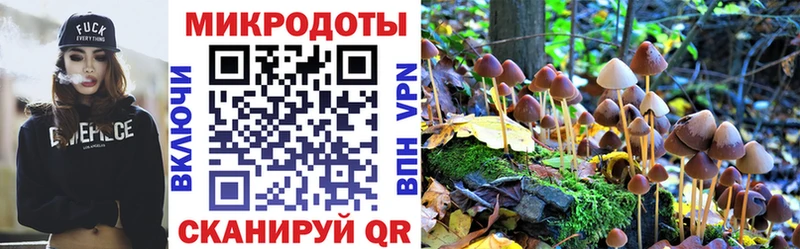 Галлюциногенные грибы Psilocybine cubensis  Купить где  Губкинский 