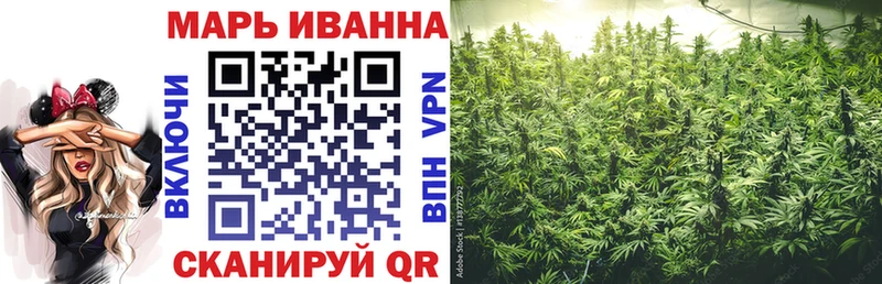 Купить  Губкинский  Конопля план 